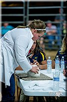 LCFair2016-5208.jpg