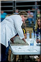 LCFair2016-5210.jpg