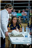 LCFair2016-5211.jpg