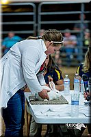 LCFair2016-5212.jpg