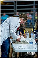 LCFair2016-5213.jpg