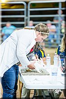 LCFair2016-5214.jpg