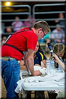 LCFair2016-5228.jpg