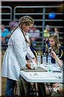 LCFair2016-5234.jpg