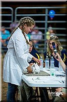 LCFair2016-5236.jpg