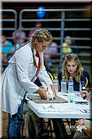 LCFair2016-5237.jpg