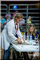 LCFair2016-5238.jpg