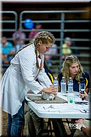 LCFair2016-5239.jpg