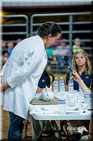 LCFair2016-5242.jpg