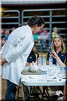 LCFair2016-5243.jpg