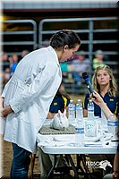 LCFair2016-5244.jpg