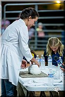 LCFair2016-5245.jpg