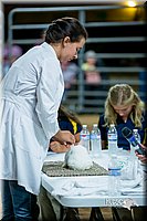 LCFair2016-5246.jpg