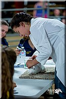 LCFair2016-5249.jpg