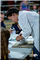 LCFair2016-5250.jpg