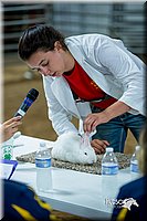 LCFair2016-5253.jpg