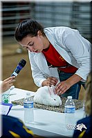 LCFair2016-5254.jpg