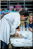 LCFair2016-5257.jpg