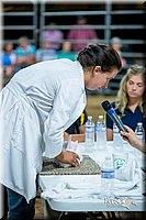 LCFair2016-5258.jpg