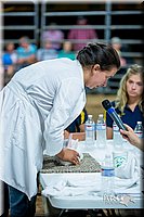 LCFair2016-5259.jpg