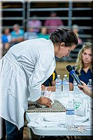 LCFair2016-5260.jpg