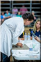 LCFair2016-5261.jpg