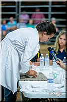 LCFair2016-5262.jpg