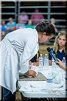 LCFair2016-5263.jpg