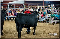 LCFair2016-5264.jpg