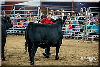 LCFair2016-5265.jpg