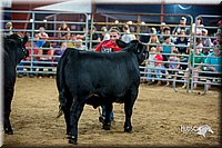 LCFair2016-5266.jpg