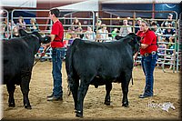 LCFair2016-5267.jpg