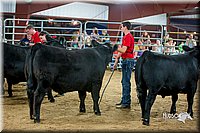 LCFair2016-5268.jpg