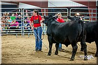 LCFair2016-5272.jpg