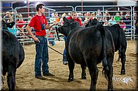 LCFair2016-5273.jpg