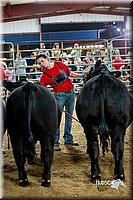 LCFair2016-5274.jpg