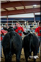 LCFair2016-5275.jpg