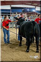 LCFair2016-5276.jpg