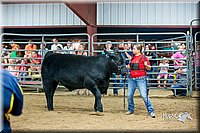 LCFair2016-5280.jpg