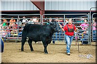 LCFair2016-5281.jpg