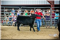 LCFair2016-5282.jpg