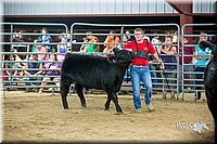 LCFair2016-5283.jpg