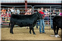 LCFair2016-5284.jpg