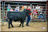 LCFair2016-5288.jpg