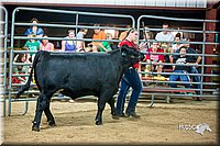 LCFair2016-5289.jpg