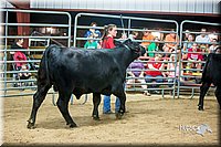 LCFair2016-5290.jpg