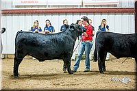 LCFair2016-5301.jpg