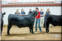 LCFair2016-5302.jpg