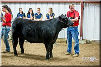 LCFair2016-5304.jpg