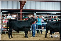 LCFair2016-5305.jpg